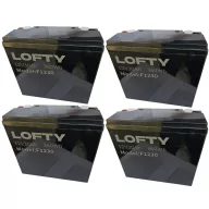  LOFTY 6-DZM-20 48V 30Ah 360Wh Lítium vasfoszfát LIFEPO4 elektromos kerékpár akkumulátor 