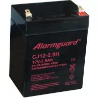 Alarmguard 12V 2,9Ah CJ12-2.9 zárt ólomsavas zselés akkumulátor