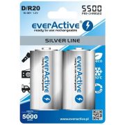 everActive 5500 SERIES HR20/2BP 1,2V NiMh D góliát tölthető elem